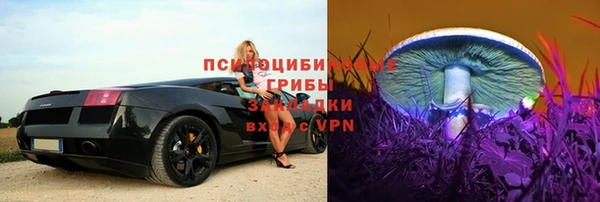 шишки Краснослободск